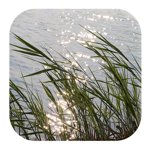 Wind Sounds 1.4