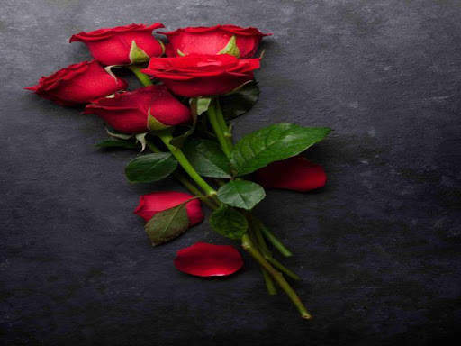 3D Red Rose Images 2020 3 تصوير الشاشة