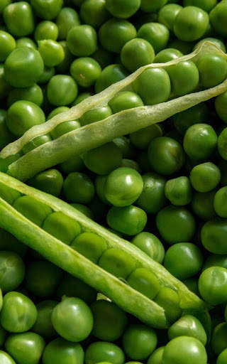 Green Wallpapers | hd backgrounds screenshot 4