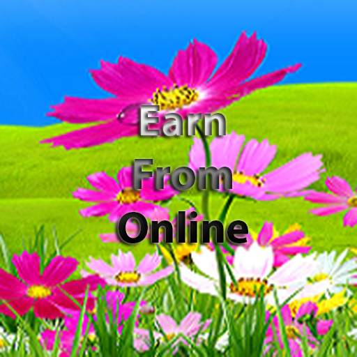 Earn from Online 1.0