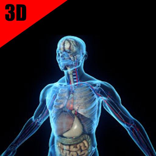 Anatomy and Physiology Systems icon