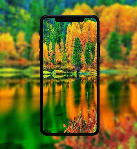Autumn Wallpaper & Background screenshot 2