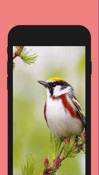 Birds ColorbyNumber - Coloring Book screenshot 4