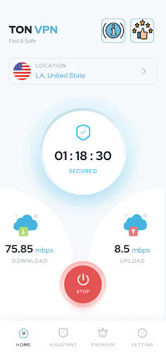 Ton VPN: Secure & Fast screenshot 3