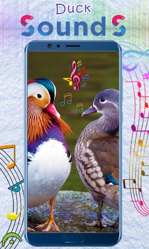 Duck Sounds 3 تصوير الشاشة