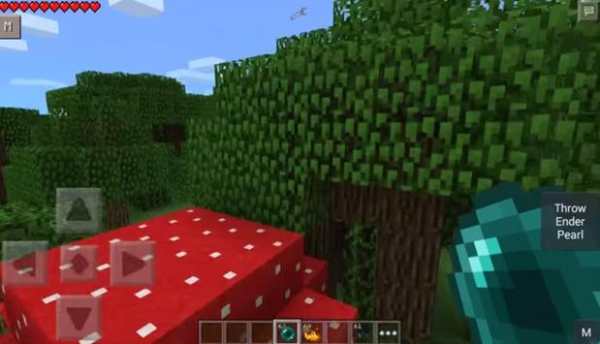 Ender Chest Mod Installer screenshot 2