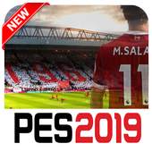 Guide PES 2019 5.3