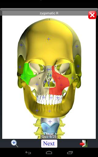 Anatomy Quiz скриншот 15