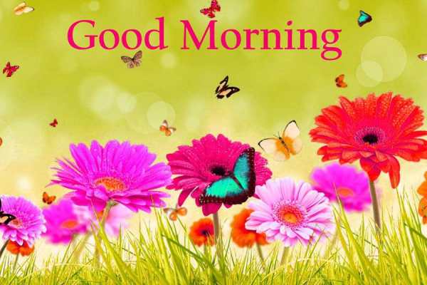 Good Morning Images For WhatsUp скриншот 1