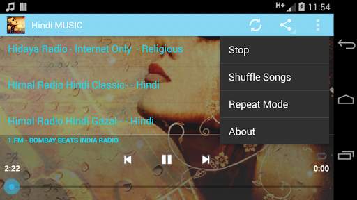 Hindi MUSIC screenshot 6