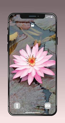 ✿ HD Flowers Wallpaper - 4K Beautiful Flowers screenshot 12