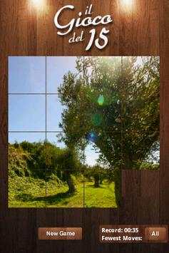 Game of Fifteen with photo screenshot 7