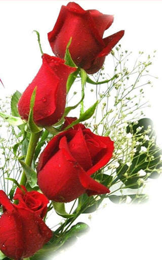 HD Rose Flowers Live Wallpaper screenshot 8
