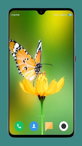 Butterfly Wallpaper 4K screenshot 12