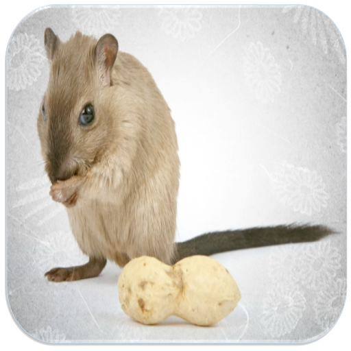 Rat Sounds icon