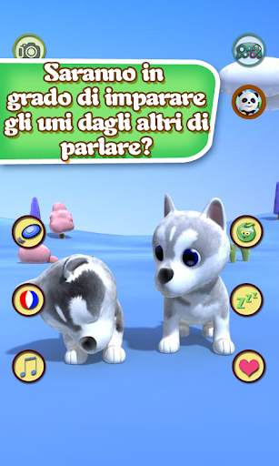 Talking Dog Husky screenshot 2