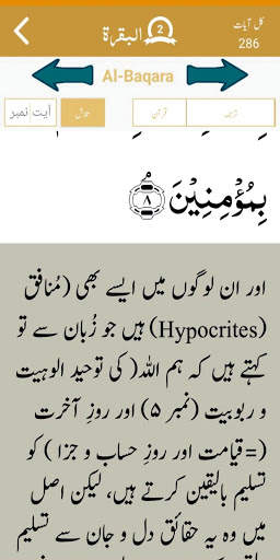Husne Quran (Dr Naseer Ahmad Nasir) screenshot 2