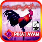 Forest Chicken Sound icon
