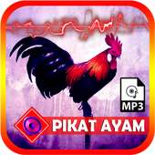 Forest Chicken Sound icon