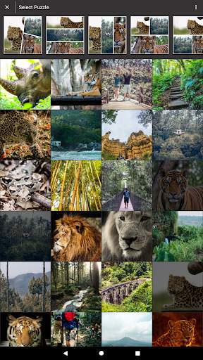 PhotoPuzzly  - Photo Collage Maker - Photo Editor screenshot 10