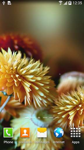 Autumn Flowers Live Wallpaper screenshot 4