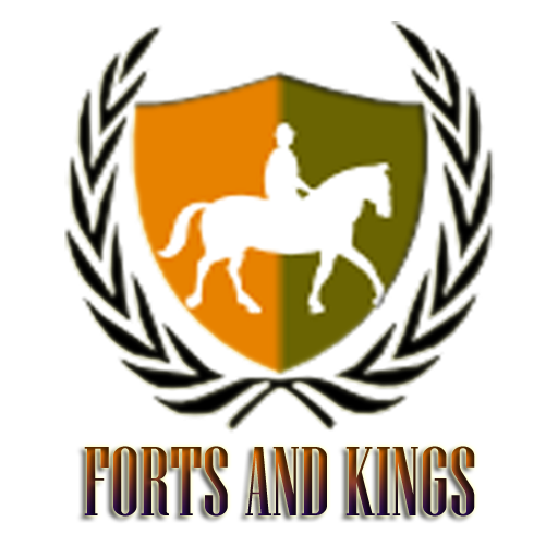 Kings And Forts icon