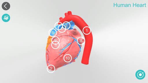 Anatomy 3D screenshot 11