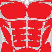Six Pack abs Workout - abs workout (Daily) 2018