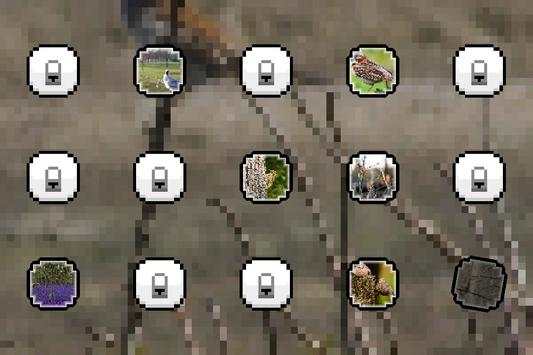 Bird-song Sounds and Ringtones screenshot 2