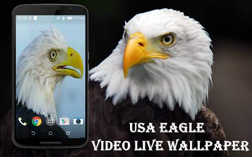 USA Eagle Live Wallpaper screenshot 1
