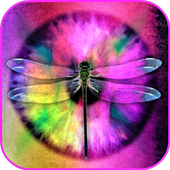 Eyes Wallpaper icon
