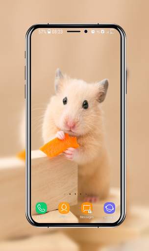 Cute Hamster Wallpaper screenshot 13