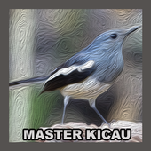 Offline Chirping Master icon