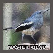 Offline Chirping Master 1.0