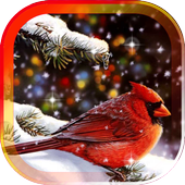 Snow Birds Songs HD LWP icon