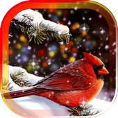 Snow Birds Songs HD LWP 1.0