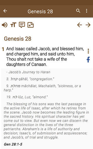 Bible Study apps screenshot 22