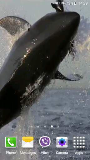 Shark Attack Live Wallpaper screenshot 6