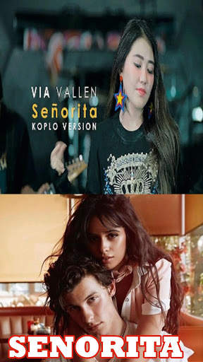 Senorita DJ Offline Terbaru screenshot 1