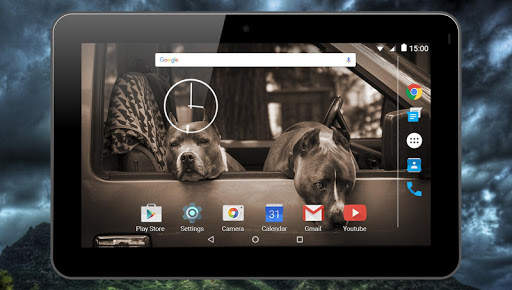 Fighting Dogs Live Wallpaper screenshot 8