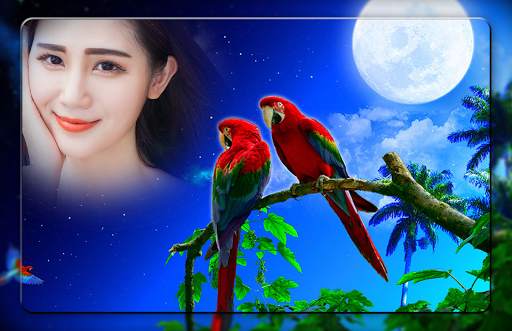 Love Birds Photo Editor screenshot 2