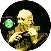 Musical Instrument The Maestro Gheorghe Zamfir 1.1