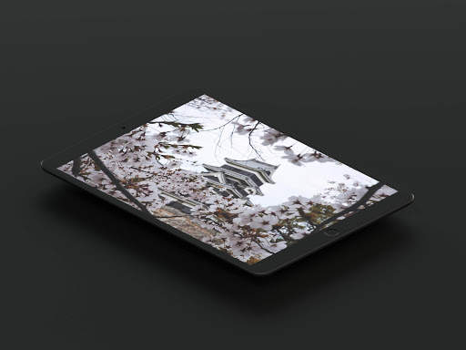 Cherry Blossom Wallpaper screenshot 15