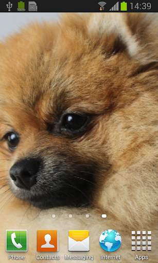 Spitz live wallpaper screenshot 2