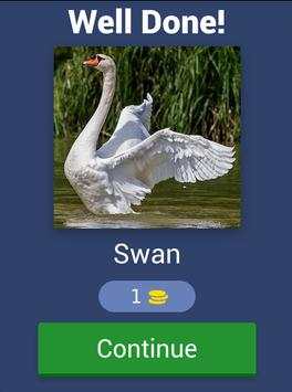 Guess the Bird screenshot 14