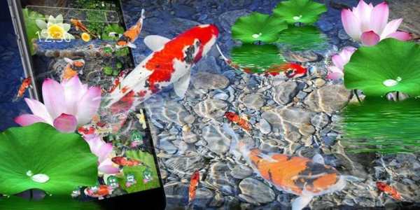 Природная Koi Fish Theme скриншот 4