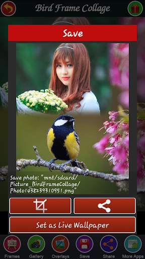 Bird Frame Collage screenshot 7