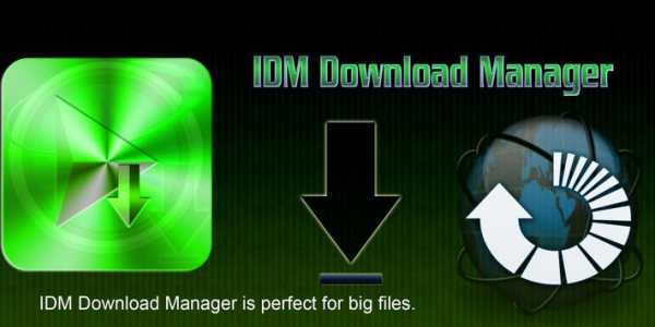 Internet Download Manager IDM screenshot 1