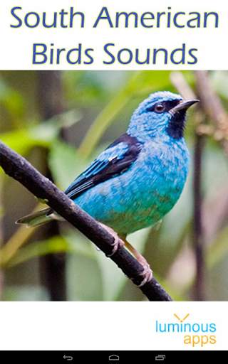 South American Birds Free स्क्रीनशॉट 17