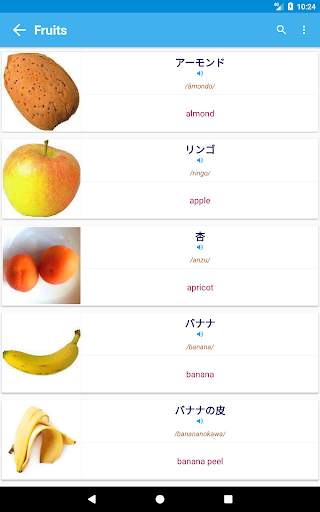 Japanese Vocabulary By Topics (With Pictures) скриншот 11